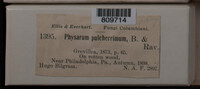 Image Associated With the Occurence